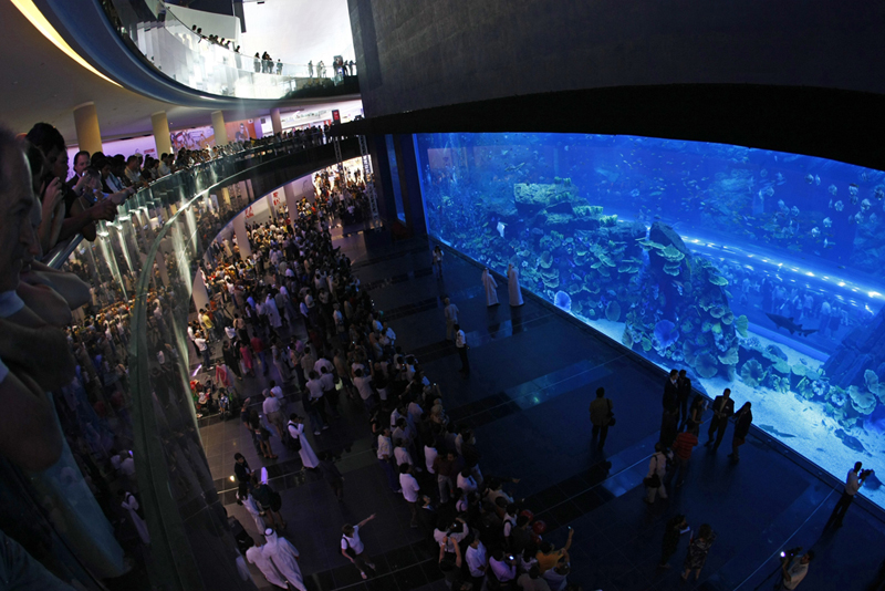 project_helvar_lighting_control_dubai_mall_02_aquarium